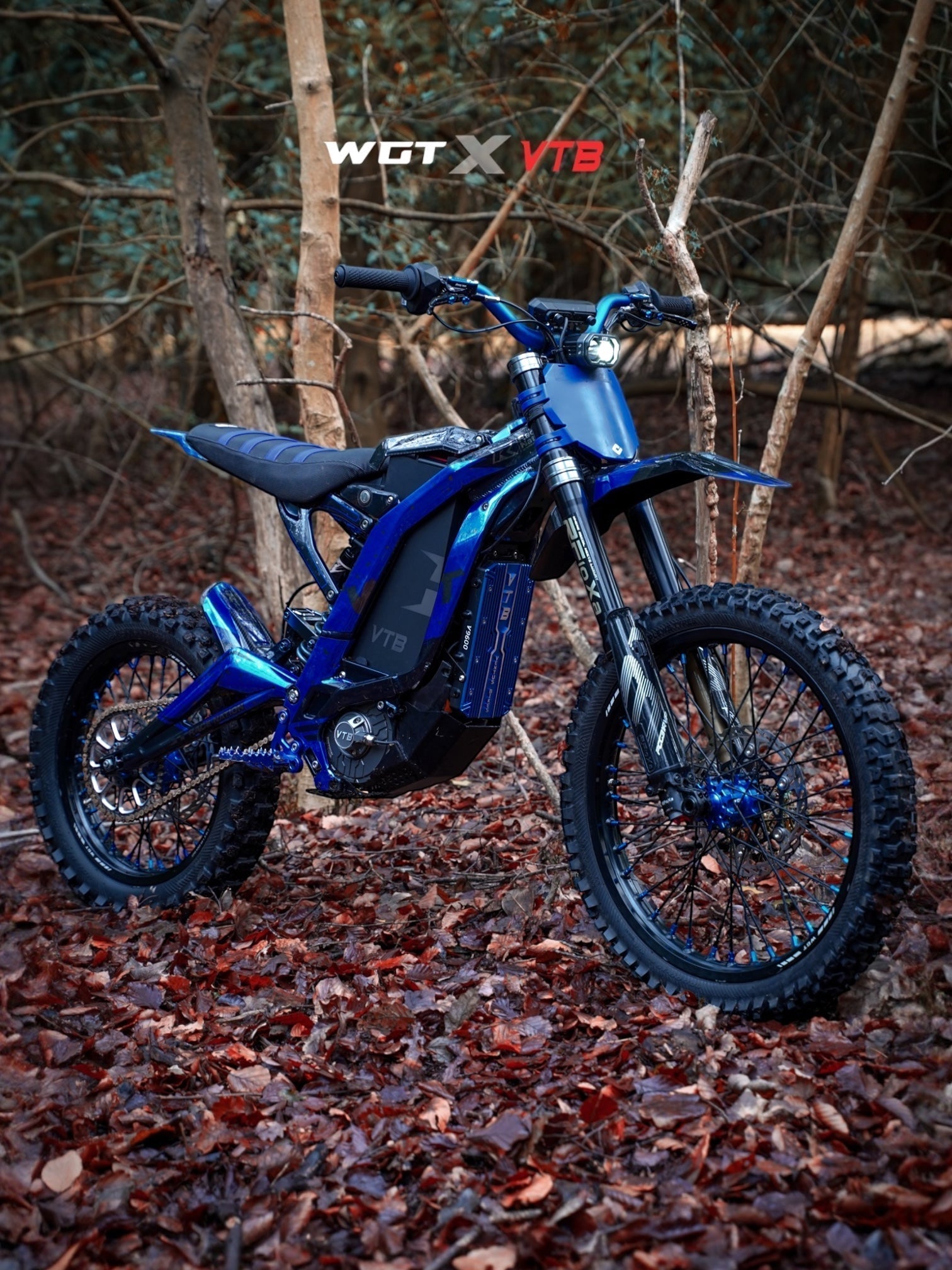 Wills custom light bee