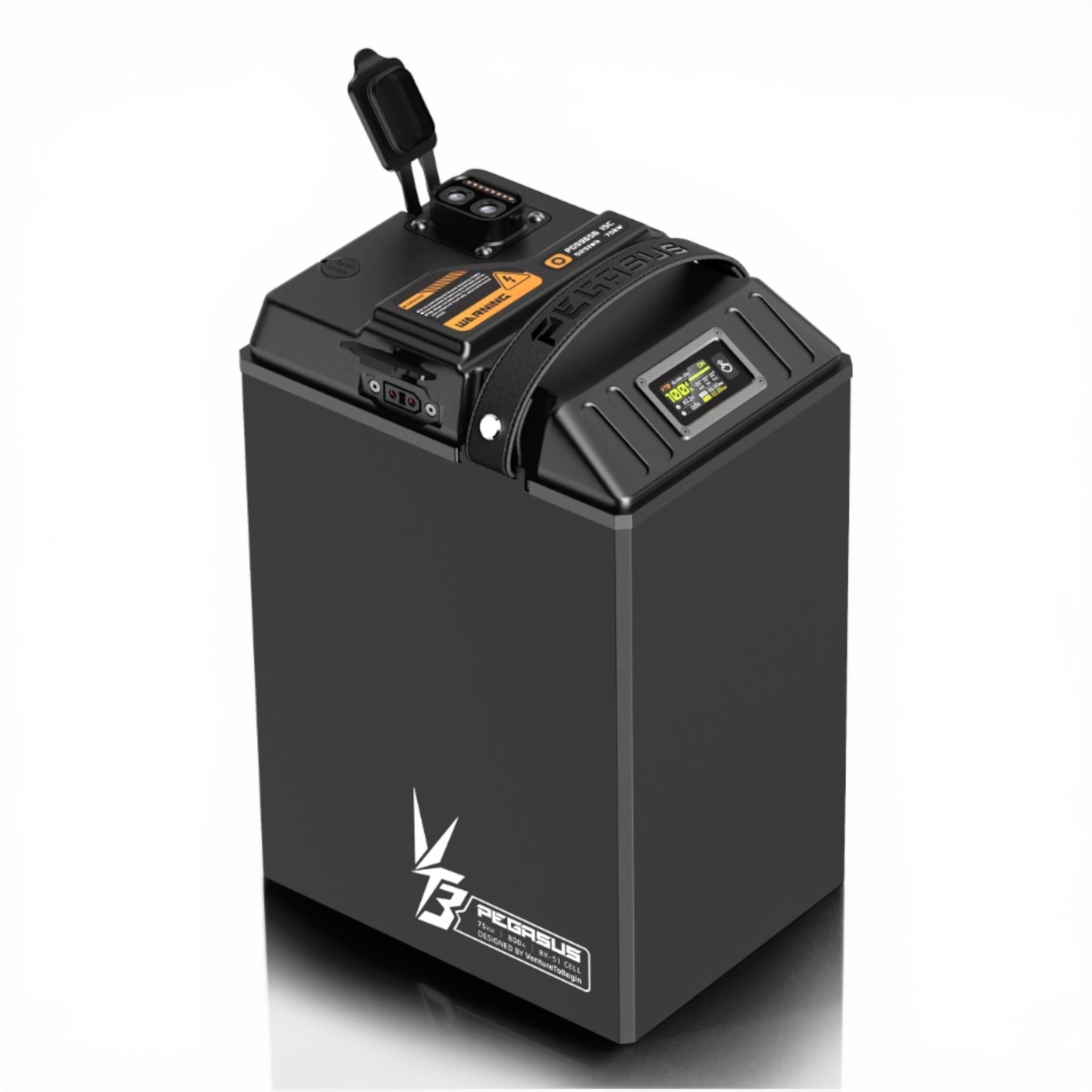 VTB 96v 56ah PEGASUS ULTRA BEE BATTERY