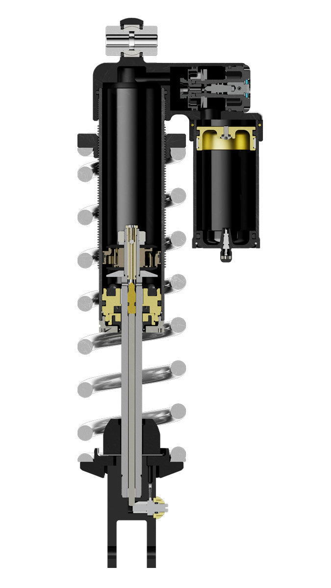 Sirris R46 rear shock internal cross section